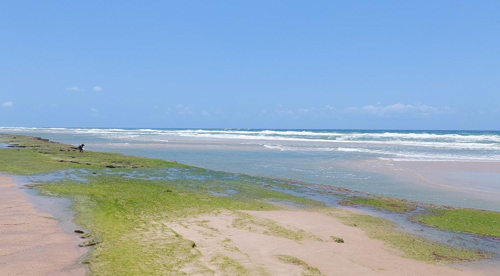Portal Vida Chale Na Praia Da Taiba Sao Goncalo do Amarante  外观 照片